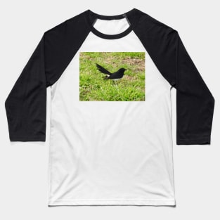 Willie Wagtail Baseball T-Shirt